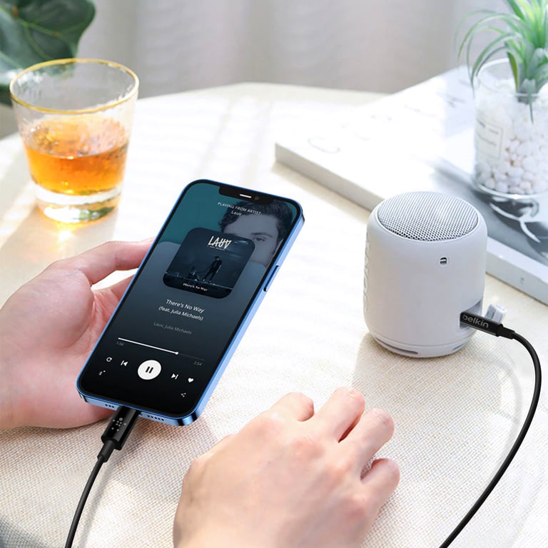 Câble Jack vers Jack 3.5mm - vue 8