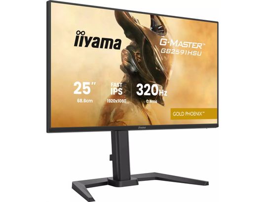 GB2591HSU-B1 24.5 FHD Fast IPS 320Hz/HAS - Neuf