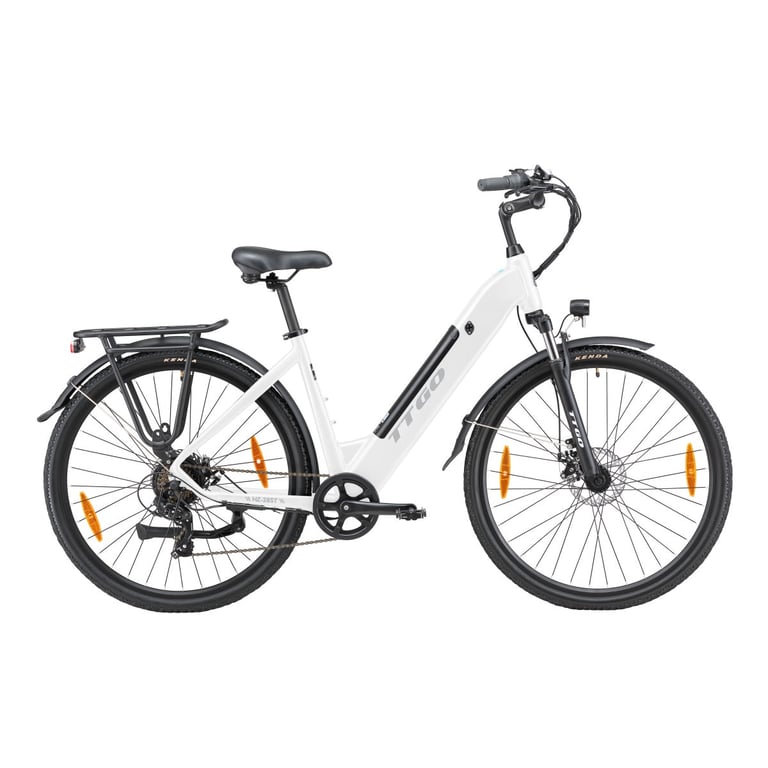 Vélo Électrique TTGO HZ-28ST – Moteur 250W, Batterie 36V20Ah, Cadre 28'' - vue 4