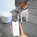Tellur Smart WiFi Pet Water Dispenser, 2L, Blanc