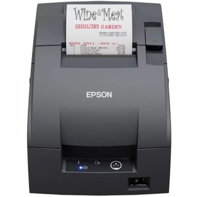 Epson TM-U220IIB stampante ad aghi