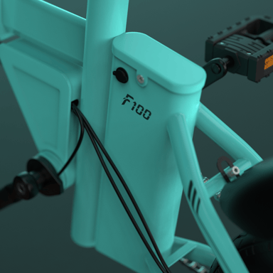 Bici elettrica pieghevole ESKUTE F100 250W Batteria 36V 9Ah 14 pollici