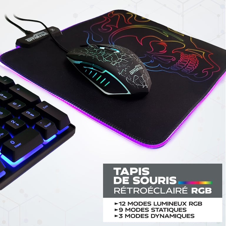 Amstrad AMS-RGB-MOUSEPAD Tapis de souris gamer RGB avec design "tête de  mort" - 12 mode lumineux - 25 x 30 cm - Amstrad