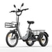 Tricycle cargo électrique CYSUM AG1 PRO, batterie 48 V 20 Ah, paniers avant et arrière, marche arrière