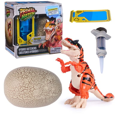 Kit œuf hybride Primal Hatch Spin Master avec carte de décodage et seringue Multicolore Dino à faire éclore 5+
