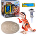 Kit œuf hybride Primal Hatch Spin Master avec carte de décodage et seringue Multicolore Dino à faire éclore 5+