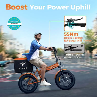 ENGWE EP-2 BOOST E-bike - Motor 250W Batería 624Wh 20x4.0 con Frenos Hidráulicos - Marrón