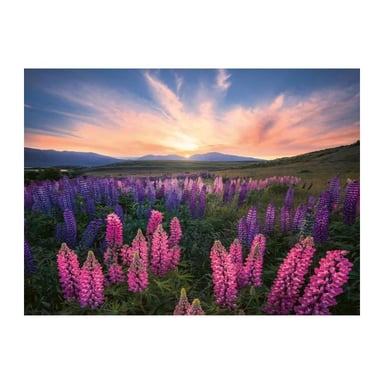 Ravensburger-Puzzle 500 piezas-Lupinos (Nature edition)-A partir de 12 años -Puzzle de alta calidad-12000688