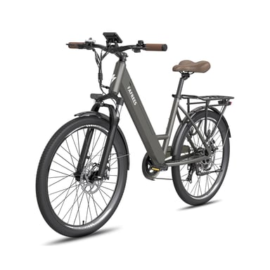 FAFREES F26 PRO Vélo Électrique - Moteur 250W Batteries 36V15Ah 26x1.75 Pouces Pneus Freins à Disque Mécaniques - Gris
