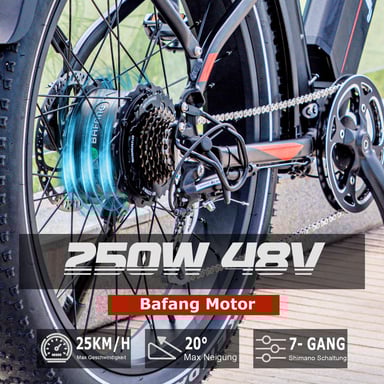 Bici Elettrica per Adulti JOBOBIKE Robin 26'' Motore Bafang 250W 48V13AH