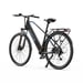 Vélo électrique DUOTTS C29Lite, moteur 250 W, batterie 36 V 13 Ah