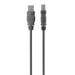Cable USB BELKIN - 1,8 m