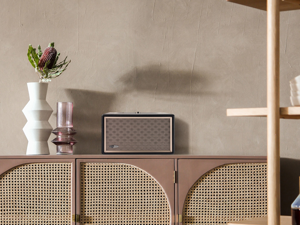 Caliber HFG311BT - vue 4