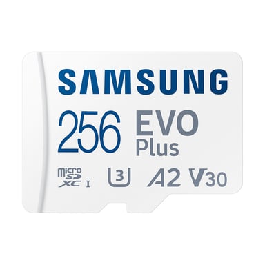 Scheda di memoria MicroSD da 256 GB Classe 10 Modello Evo Plus 100 Mb/s