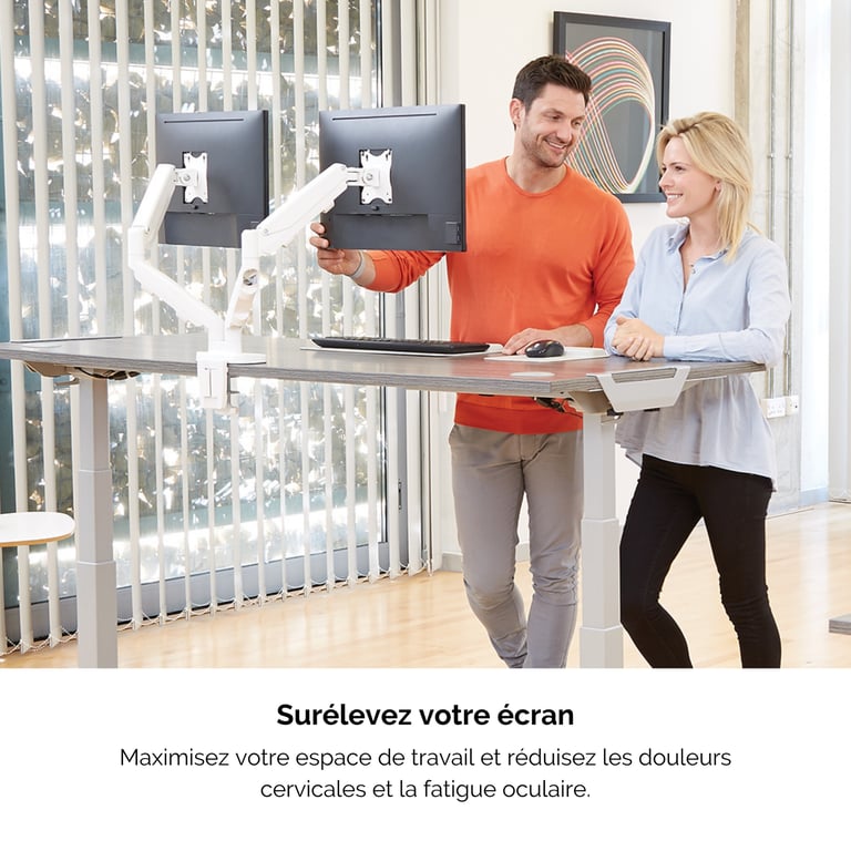 Fellowes Eppa 9683501 support d'écran plat pour bureau 99 1 cm 39 Neuf - vue 2