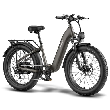 Vélo électrique FAFREES F26 ROVER - Batterie 48 V 20 Ah, moteur 250 W - Noir
