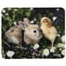 Hama Animal Multicolore