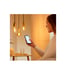 WiZ Connected lampadina Edison vintage bianco variabile E27 50W