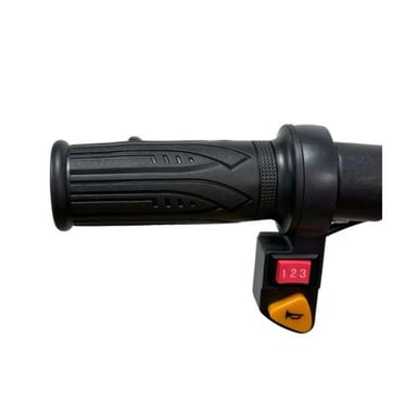 Triciclo Drift Infantil 3 Ruedas Pantalla LCD, Batería de Litio 36V, Velocidad 25 km/h, Autonomía 20 km, Blanco