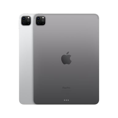 iPad Pro 4a generazione 11'' Chip M2 (2022), 2Tb - WiFi - Grigio Sidel