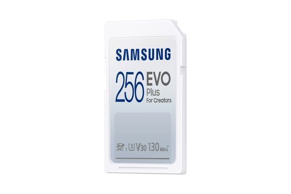 Samsung EVO Plus 256 Go SDXC UHS-I