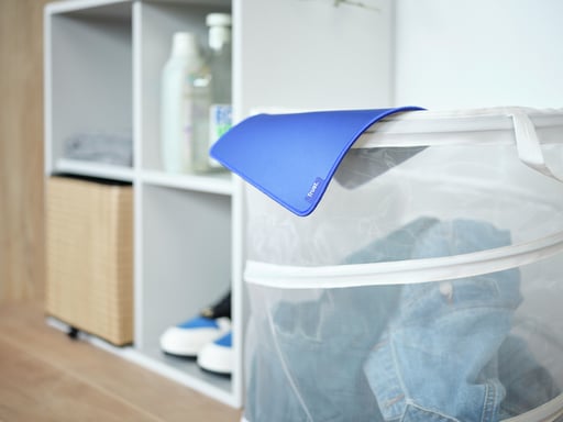 Fiducia in Boye Bleu