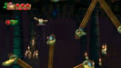 Donkey Kong Country Tropical Freeze (SWITCH)