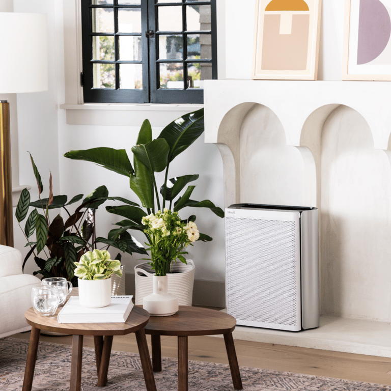 LEVOIT Purificateur d'air EverestAir Neuf - vue 3