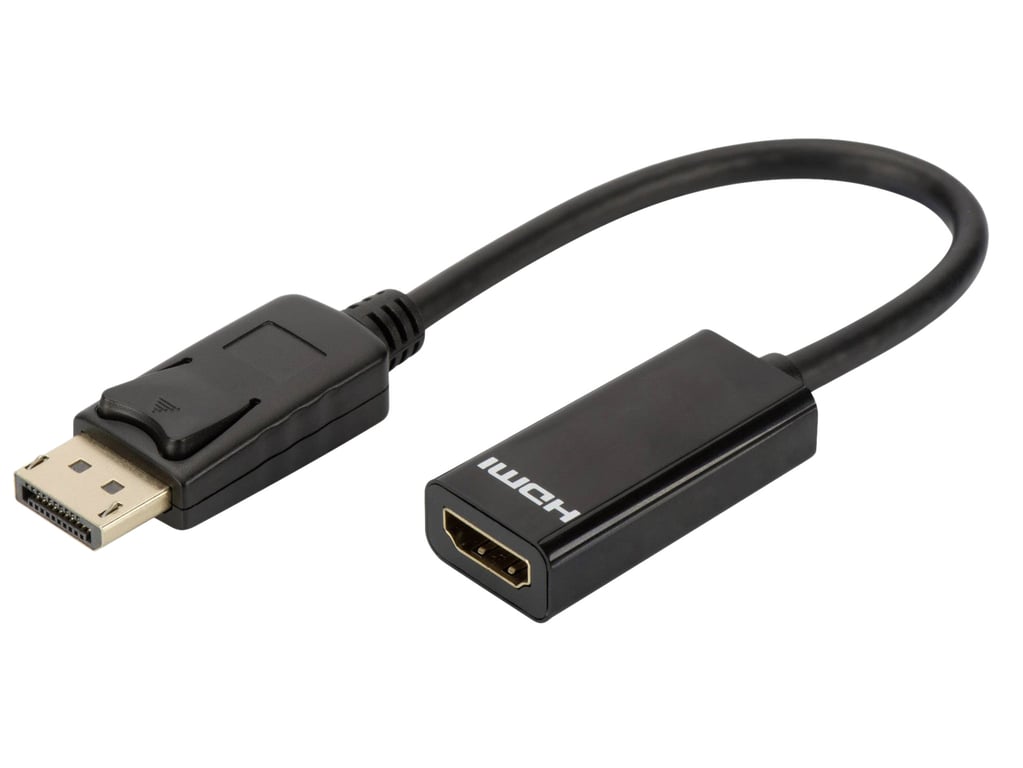 DLH ADAPTATEUR DISPLAYPORT MALE VERS HDMI FEMELLE Neuf