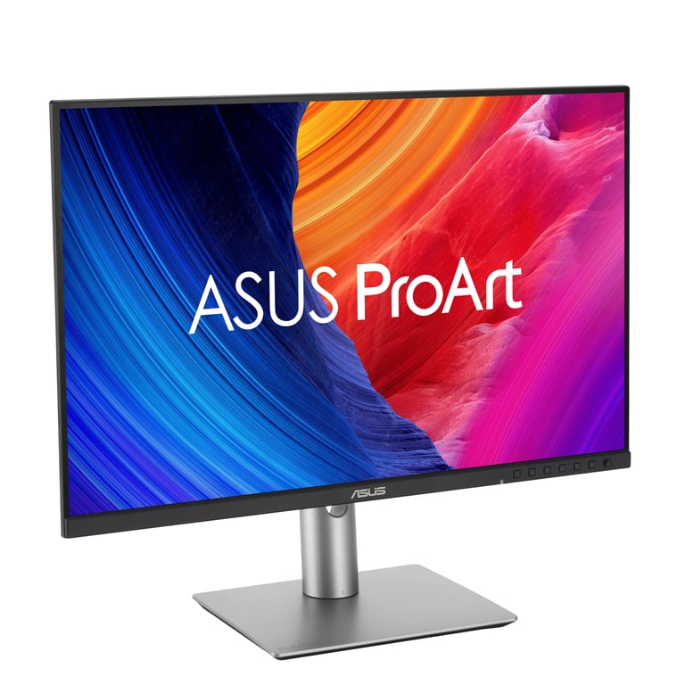 ASUS ProArt PA248QFV 24.1 LCD WUXGA 5 ms - vue 10