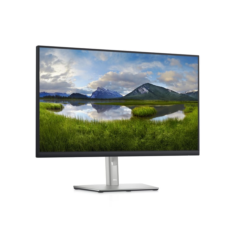 Dell P2425H - vue 3