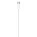 Apple MQGH2ZM/A Cavo Lightning da 2 m Bianco