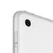 Apple iPad 32 GB 25,9 cm (10,2'') Wi-Fi 5 (802.11ac) iPadOS Plata