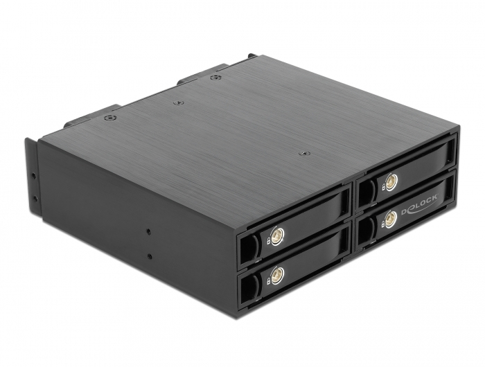 DeLOCK Rack mobile 5.25? pour 4 x SSD 2.5? U.2 NVMe avec plateaux verrouillables Neuf