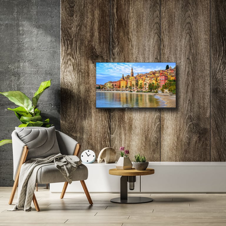 THOMSON 43FG2S14 - vue 2