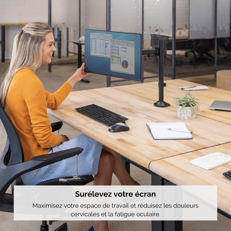 Fellowes Bras porte écran simple Reflex - vue 5