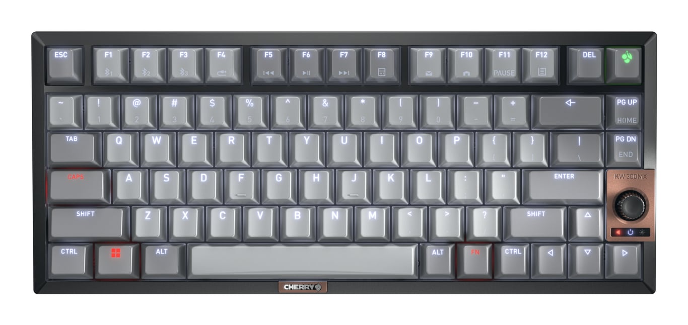 CHERRY KW 300 MX clavier Maison USB + Bluetooth QWERTY Anglais américain Cuivre Neuf