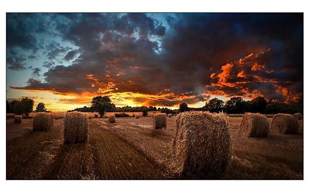 Samsung VM55B U - vue 4