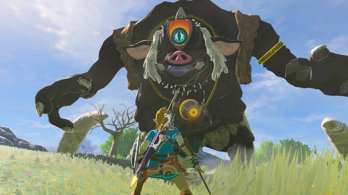 The Legend of Zelda : Breath of the Wild (Switch 2)