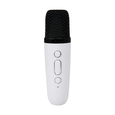 Altoparlante Bluetooth 5.1 con 2 microfoni wireless Karaoke Party Modello Btmic 15W