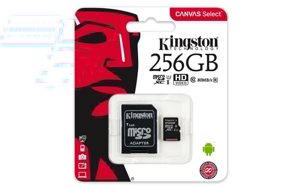Kingston Technology Canvas Select 256 Go MicroSDXC UHS-I Classe 10