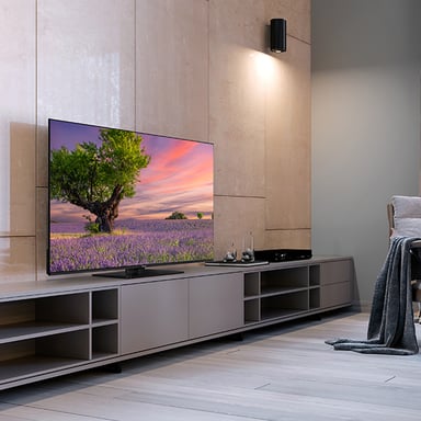 Panasonic TB-50W60AEZ TV 127 cm (50'') 4K Ultra HD Smart TV Wifi Noir