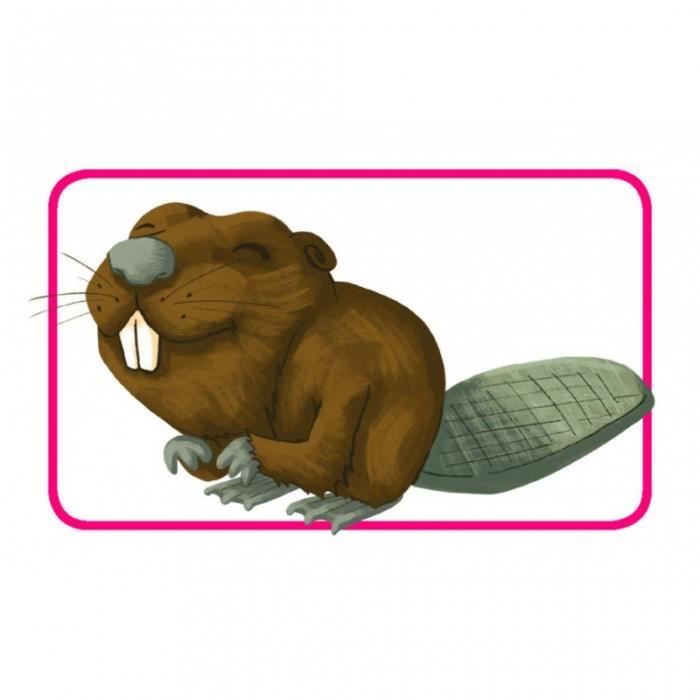 Concept Kids Animaux Asmodee - vue 6