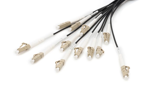Digitus Cables Breakout de fibra óptica universales preconfeccionados, multimodo OM4, 12 fibras, LC/UPC - LC/UPC
