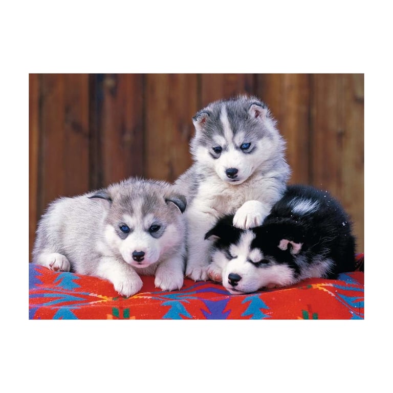 Puzzle 200 pièces : Mignons huskies Ravensburger France - vue 2