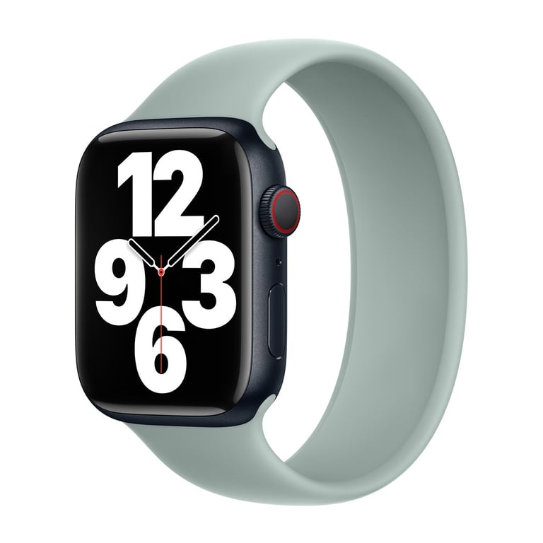 Bracelet Apple Watch 42mm Boucle unique