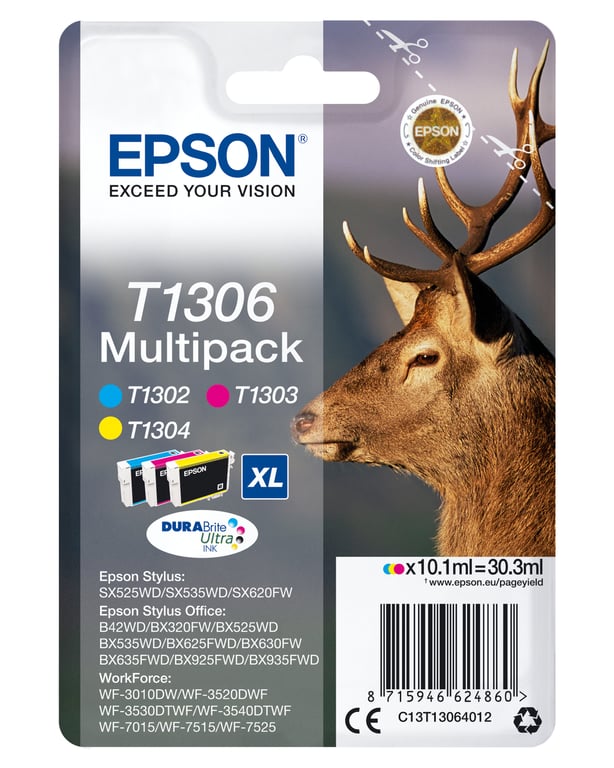 Epson T1306 - vue 6