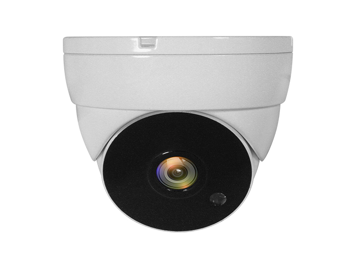 LevelOne ACS 5302 caméra de sécurité Dôme Caméra de sécurité CCTV Intérieure et extérieure Plafond