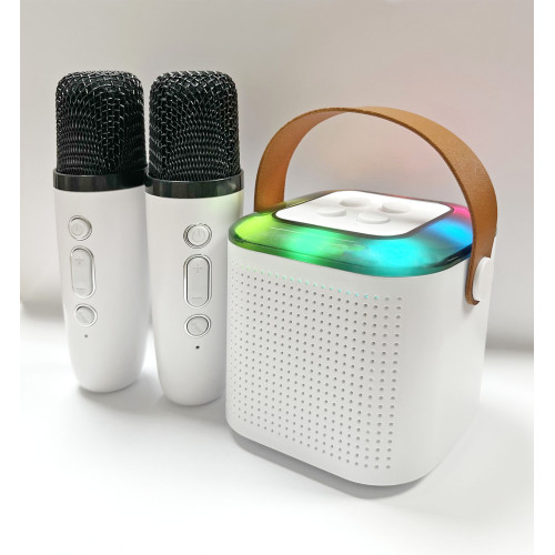 Mini enceinte Bluetooth KARAOKE 2 micros Neuf - vue 2