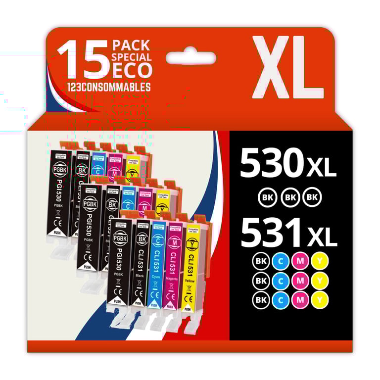 123CONSOMMABLES PGI530 CLI531 Cartouche d'encre Compatible avec Canon PGI 530 / CLI 531 Multipack pour Pixma TS8750 TS8751 2 / 1 Cyan / 1 / 1 Jaune Neuf - vue 7